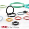 Low Friction PTFE Coating FKM Oring Seal
