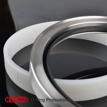 Σφραγίδα λαδιού PTFE για εξοπλισμό καθαρισμού και εξοικονόμησης ενέργειας