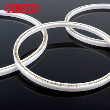 Στεγανοποιητικά χειλιών PTFE που ενεργοποιούνται με ελατήριο