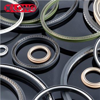 PTFE άνοιξη ενεργοποιείται υδραυλική ακτινική σφραγίδα