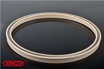 Κεκλιμένη κλίση PTFE άνοιξη ενεργοποιημένη σφραγίδα