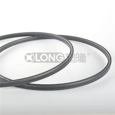 Ακτινωτή σφράγιση με ελατήριο PTFE